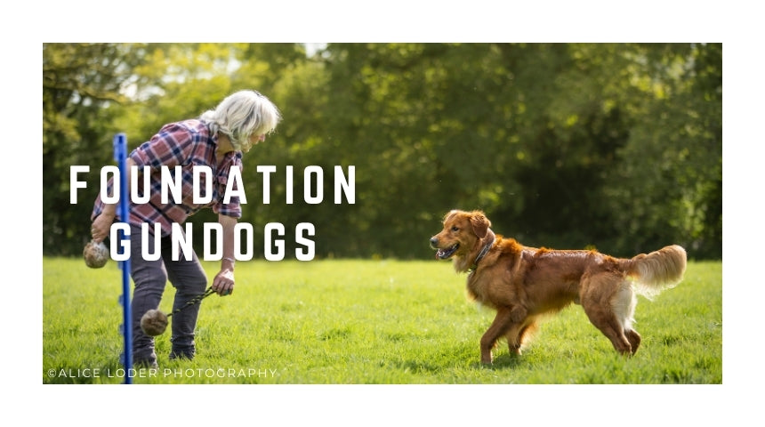 Foundation Gundog Classes Grades 1/2 Wednesdays