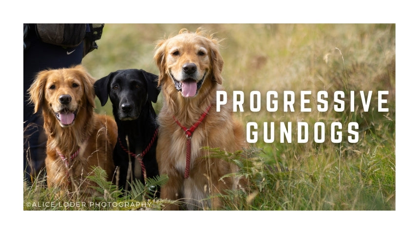 Progressive Gundog Classes Grades 3/4 Wednesdays