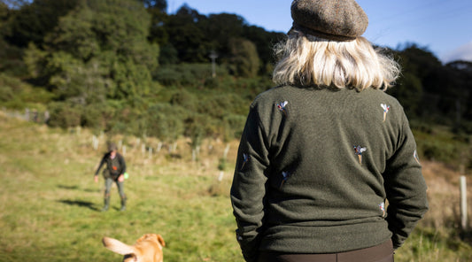Do I need one-to-one gundog training if I’m going to group classes?