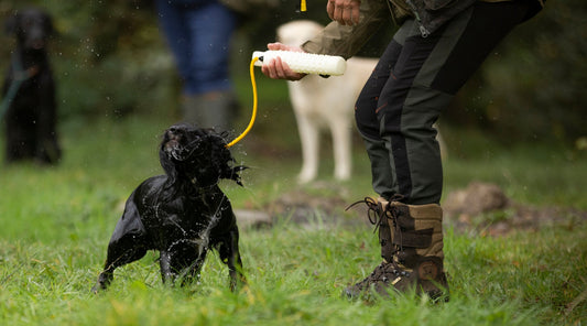 Getting a hand delivery from water