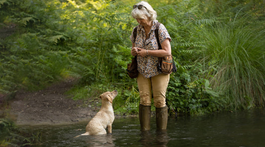 How to introduce your gundog to water