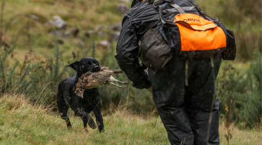 Is your gundog ready to work?