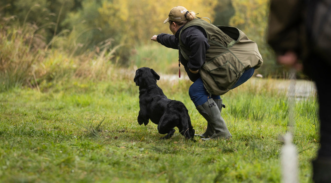 What do I need to bring with me? Essential gundog training equipment that handlers can’t live without.