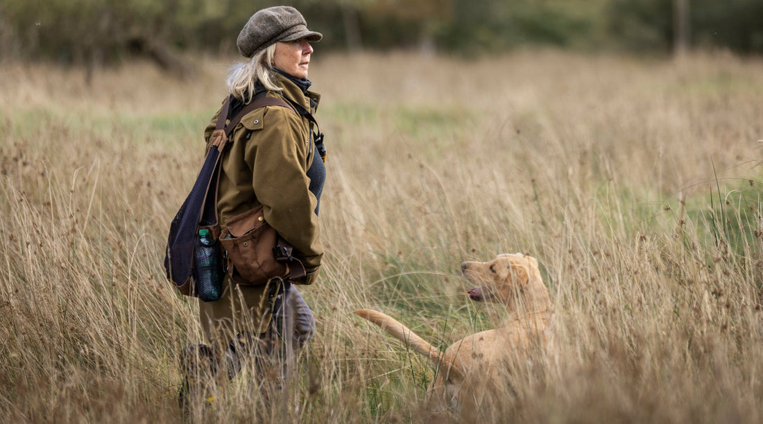 Why you need to teach your gundog breed to go for a normal dog walk