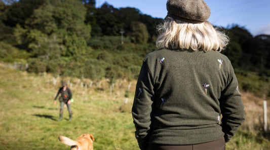 What are the benefits of one-to-one gundog training?