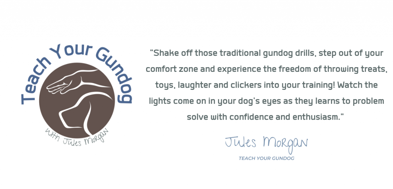 Shake off those traditional gundog drills, step out of your comfort zone and experience the freedom of throwing treats, toys, laughter and clickers into your training! Watch the lights come on in your dog's eyes as they learn to problem solve with confidence and enthusiasm.