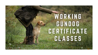 Working Gundog Certificate Classes Sundays