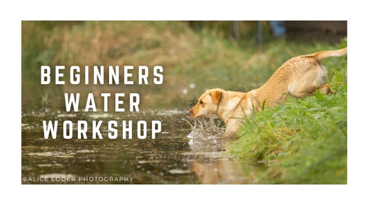 Beginners Water Workshop