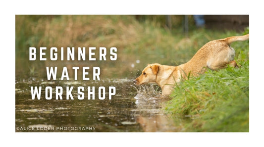 Beginners Water Workshop