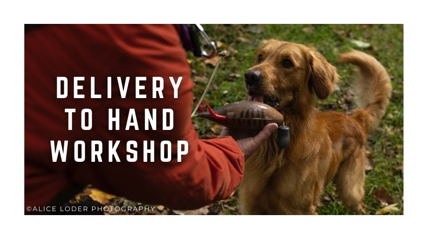 Delivery to Hand Workshop