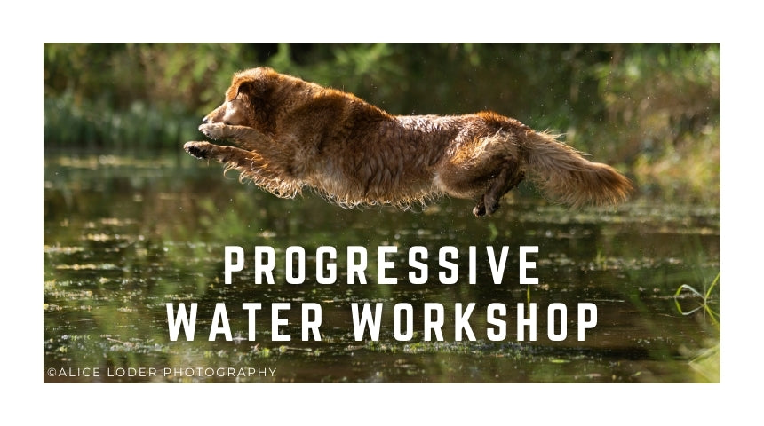 Progressive Water Workshop