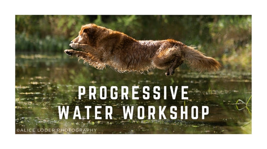 Progressive Water Workshop