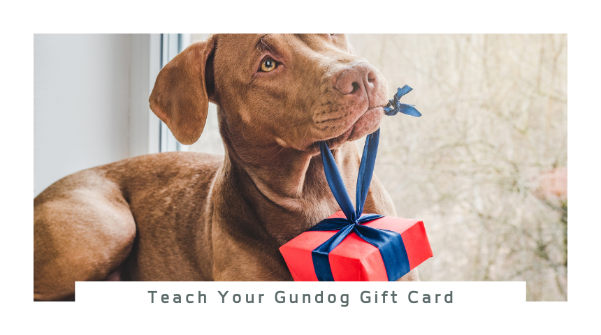 Teach Your Gundog Gift Card